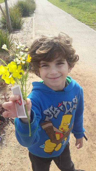 ילד מחזיק פרח